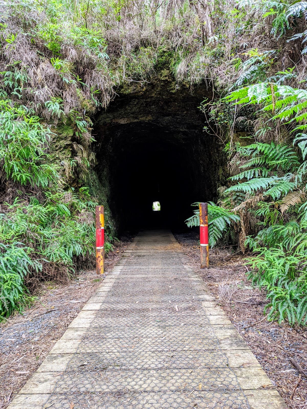 Spray Tunnel Zeehan - Image 1