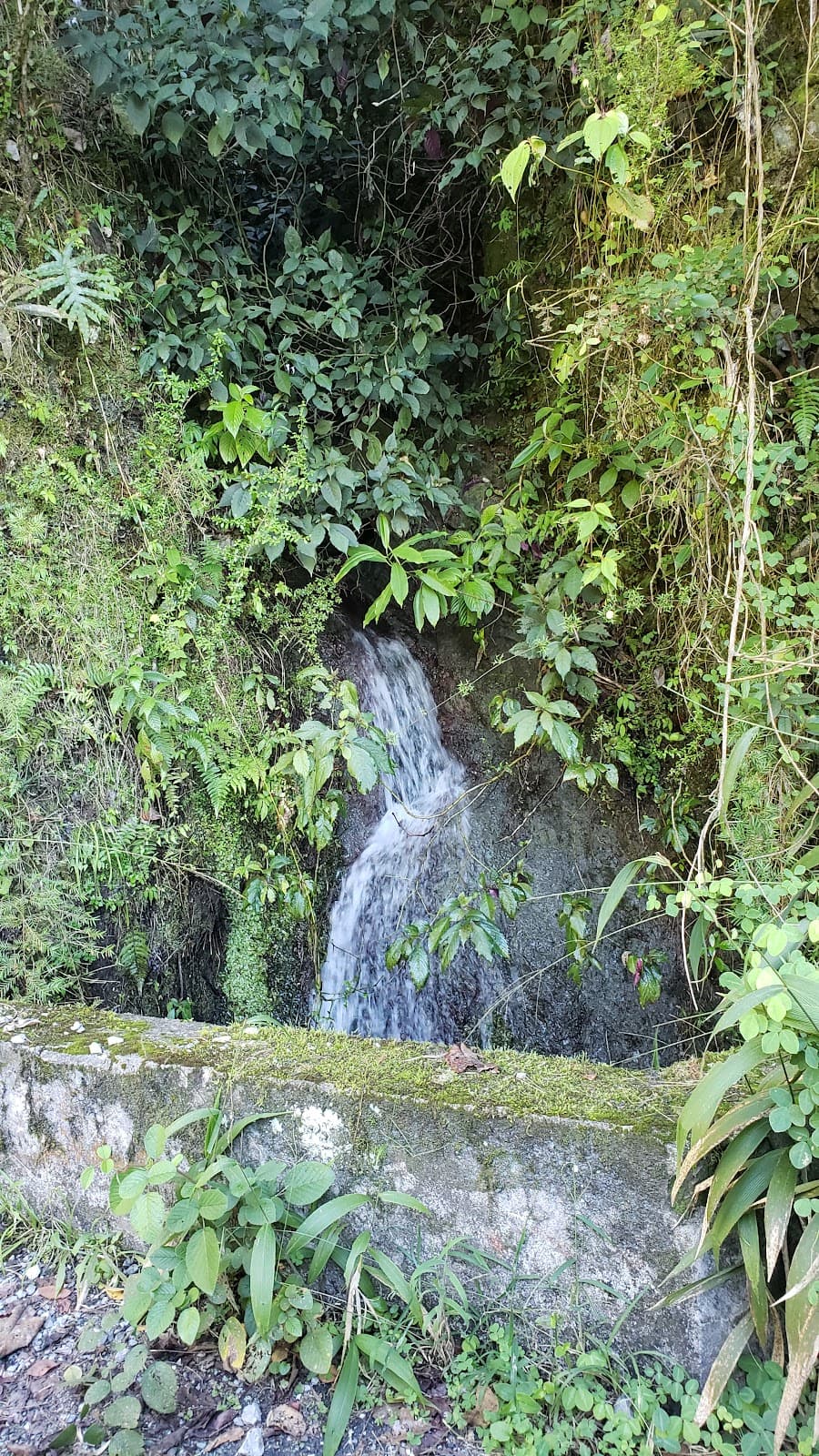 Gordon Town - Image 1