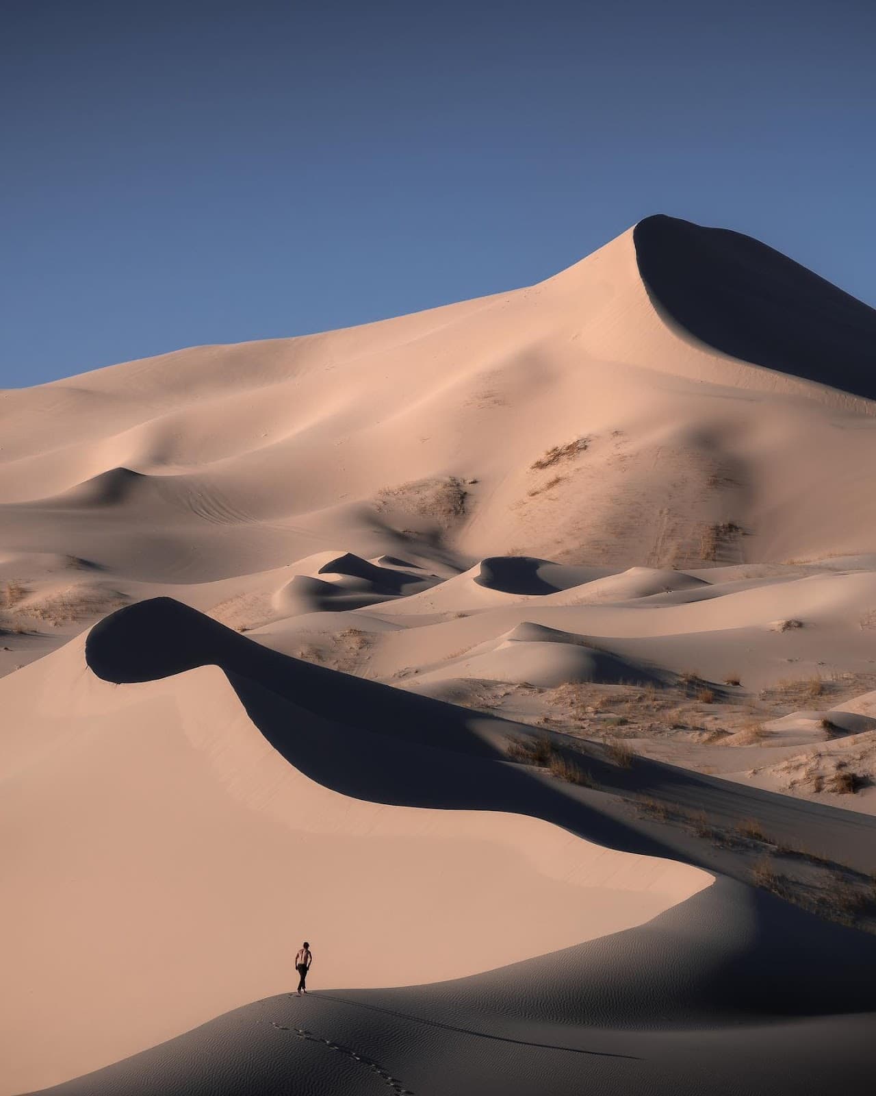 Samalayuca Dunes - Image 1