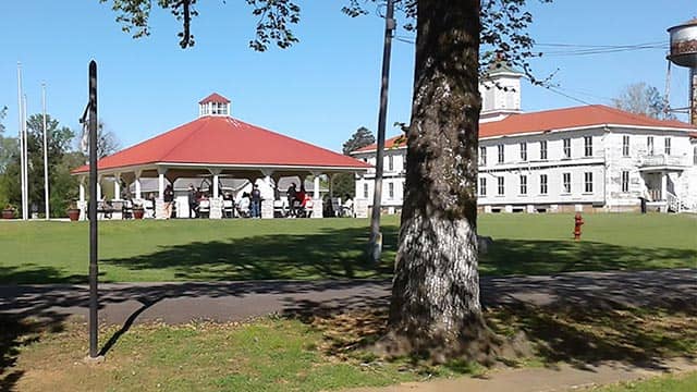 Picnic and Recreation