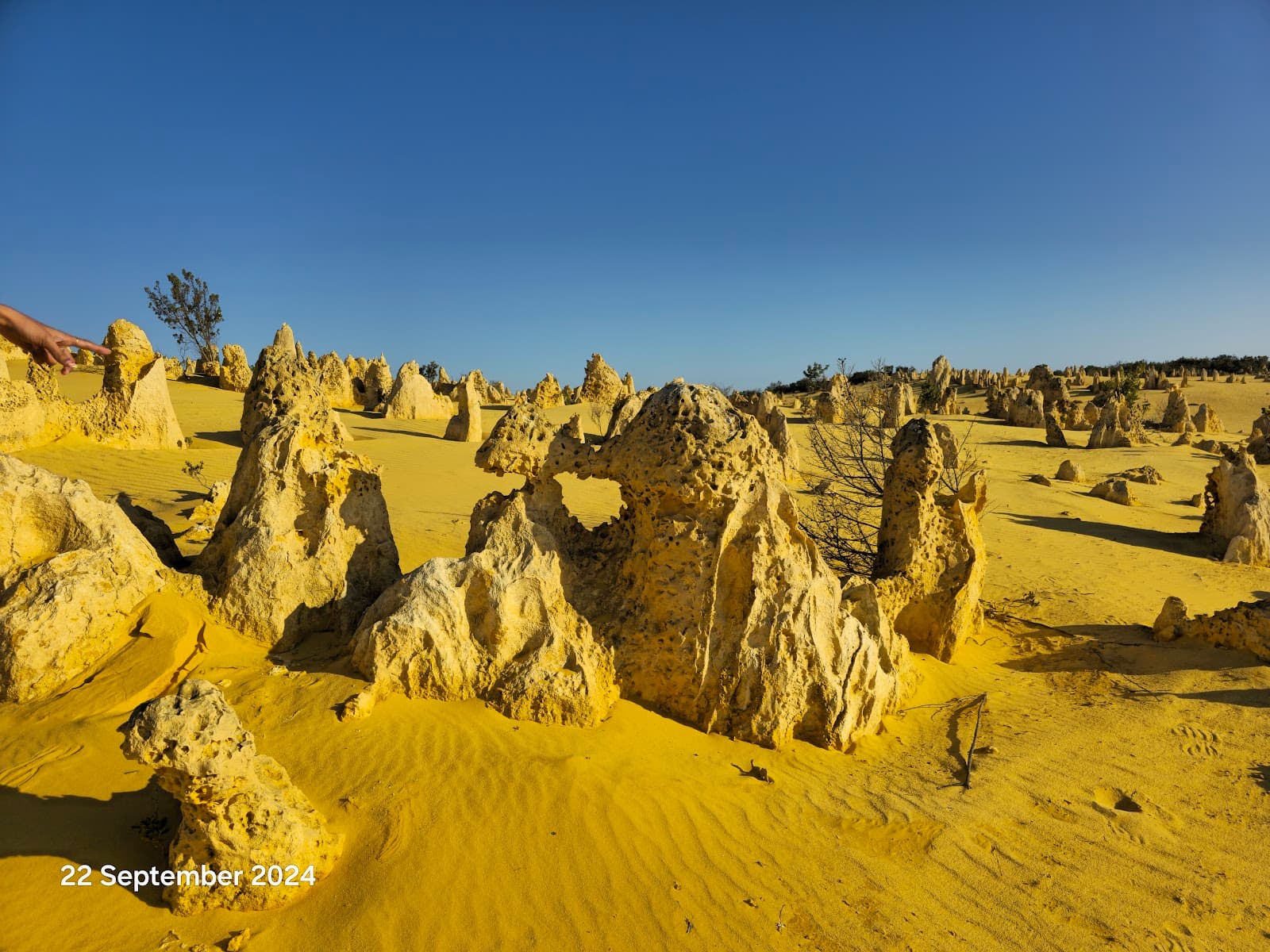 Pinnacles Desert (Nambung NP) - Image 1