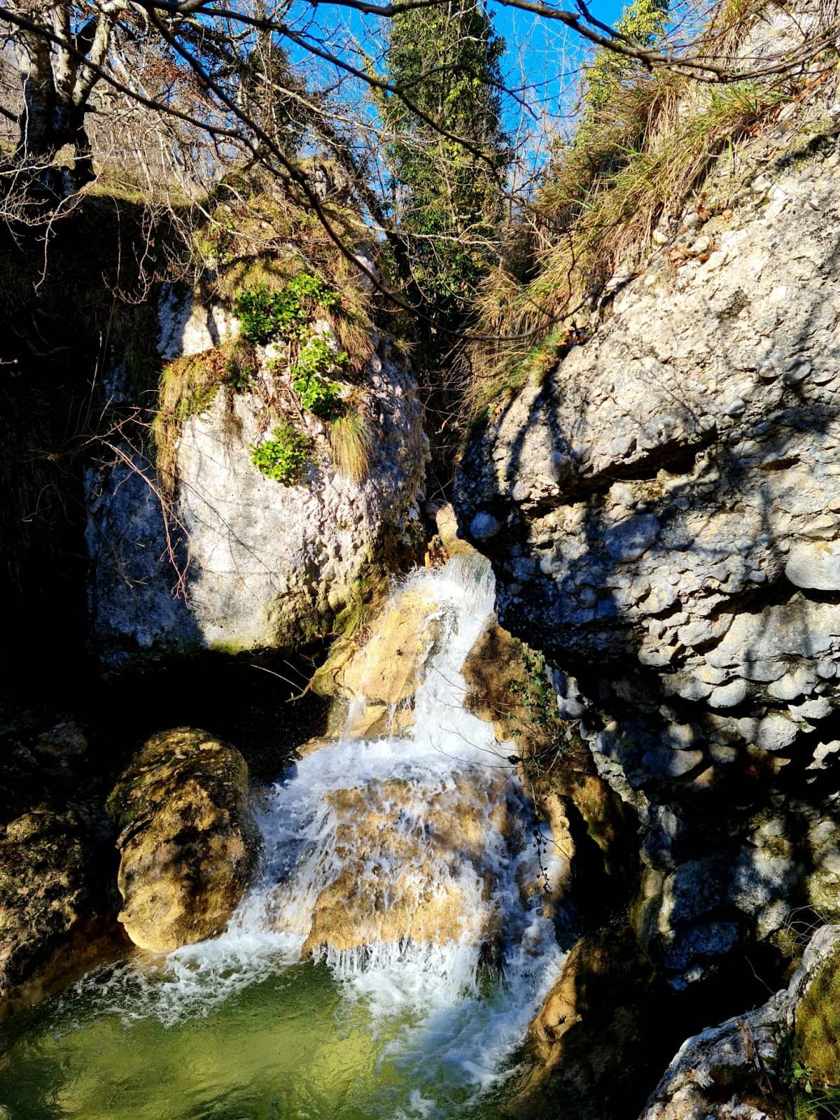 Vertical photo