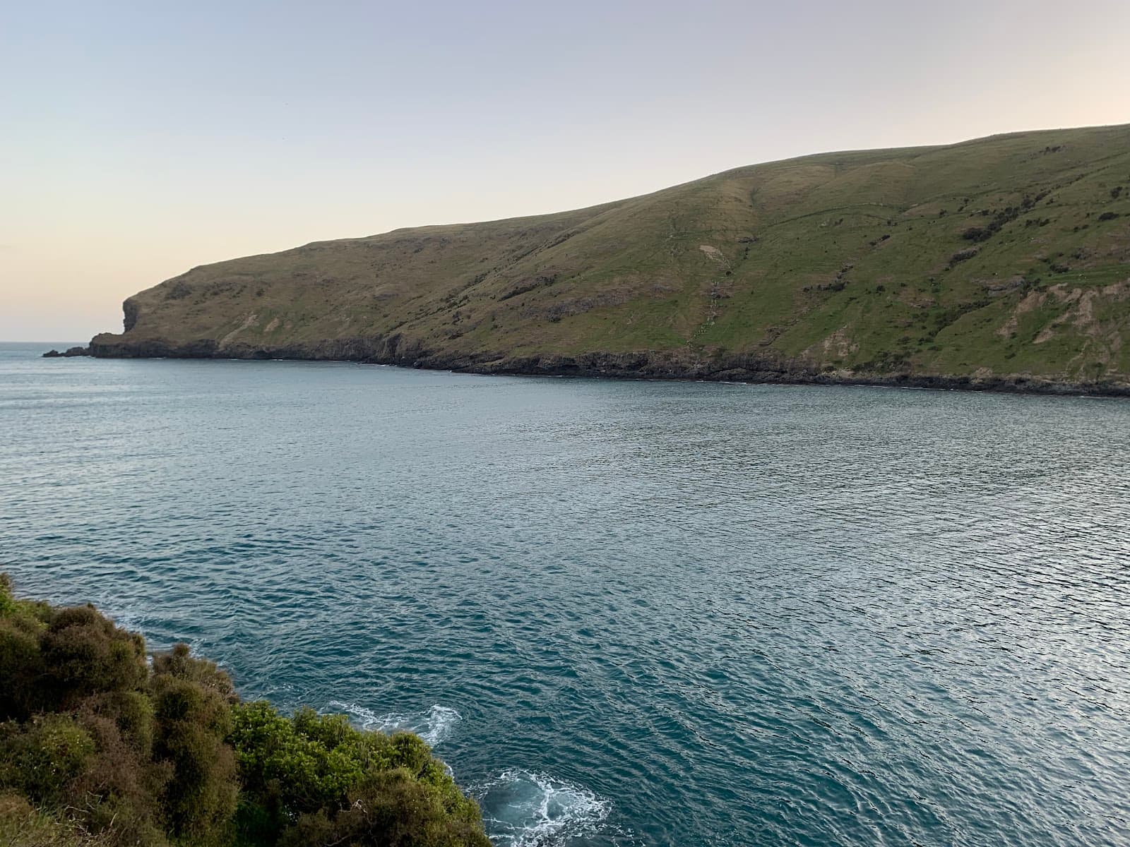 Pohatu Marine Reserve (Flea Bay) - Image 1
