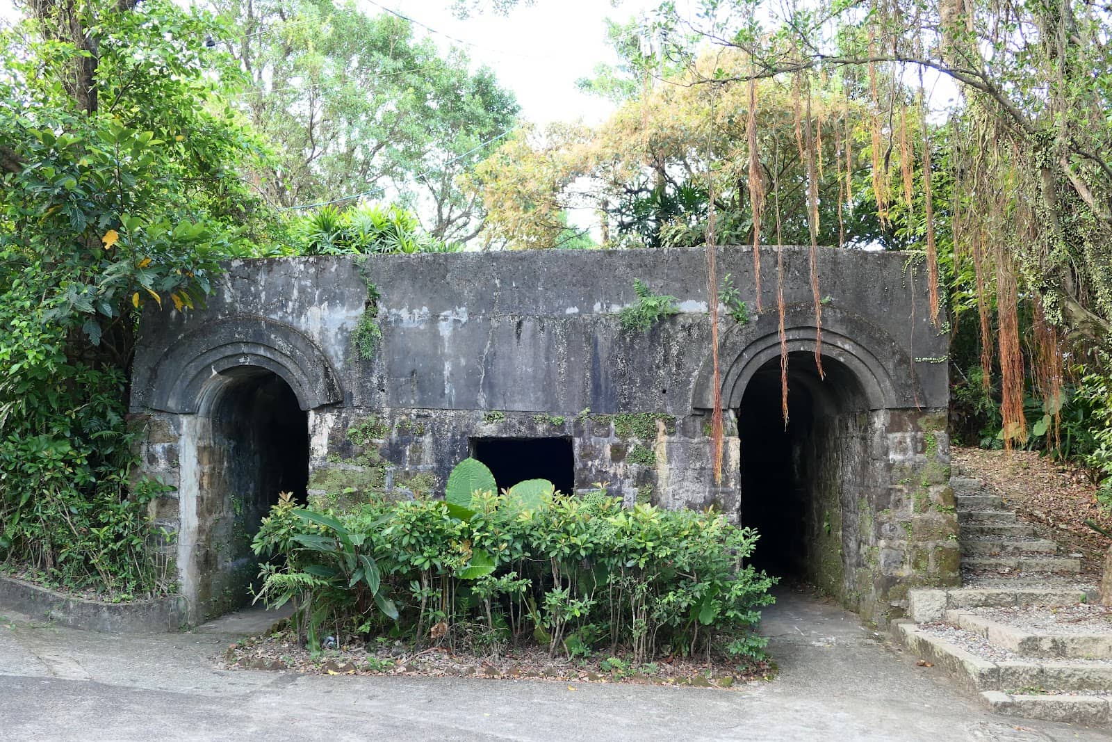 Local Neighborhood Walk