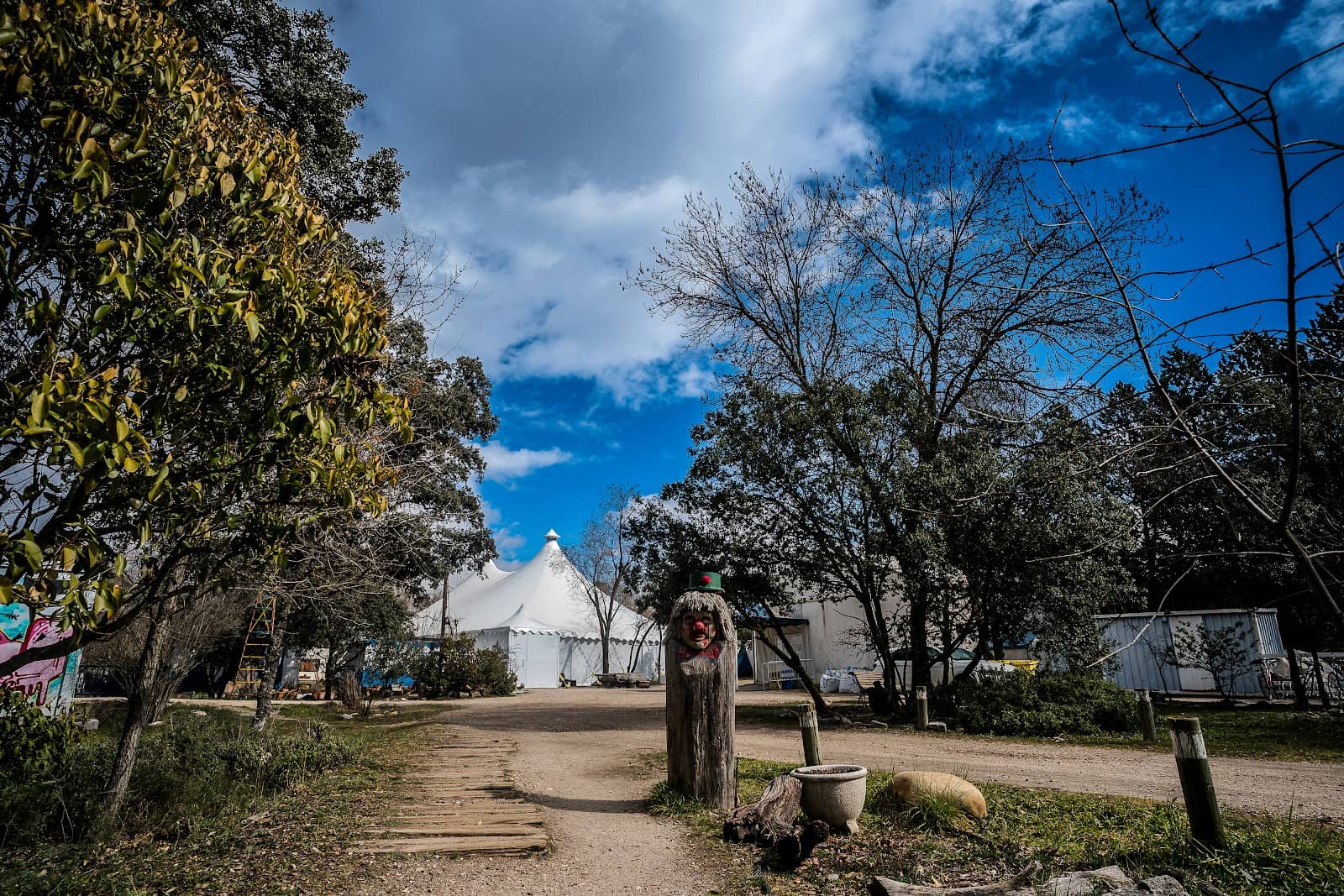 A Family of Circus Professionals