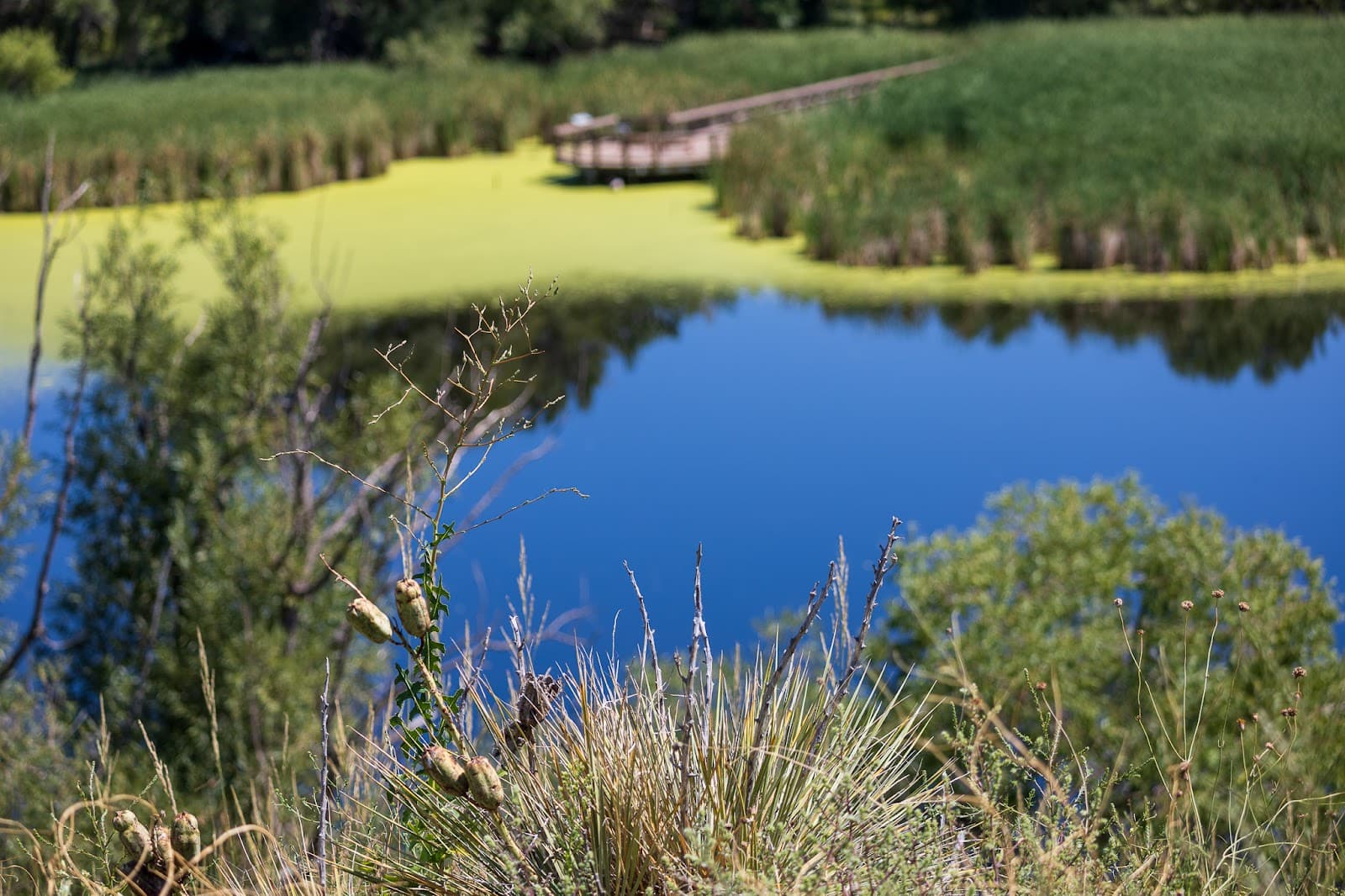 Bluff Lake Nature Center - Image 1