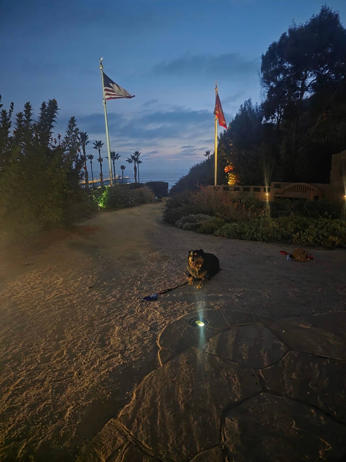 Green Spaces & Gardens