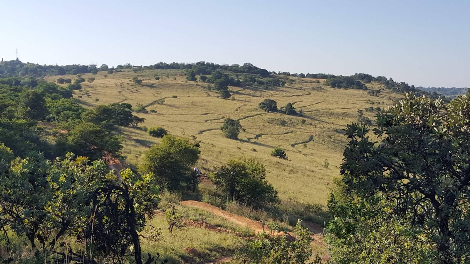 Kid-Friendly Adventure