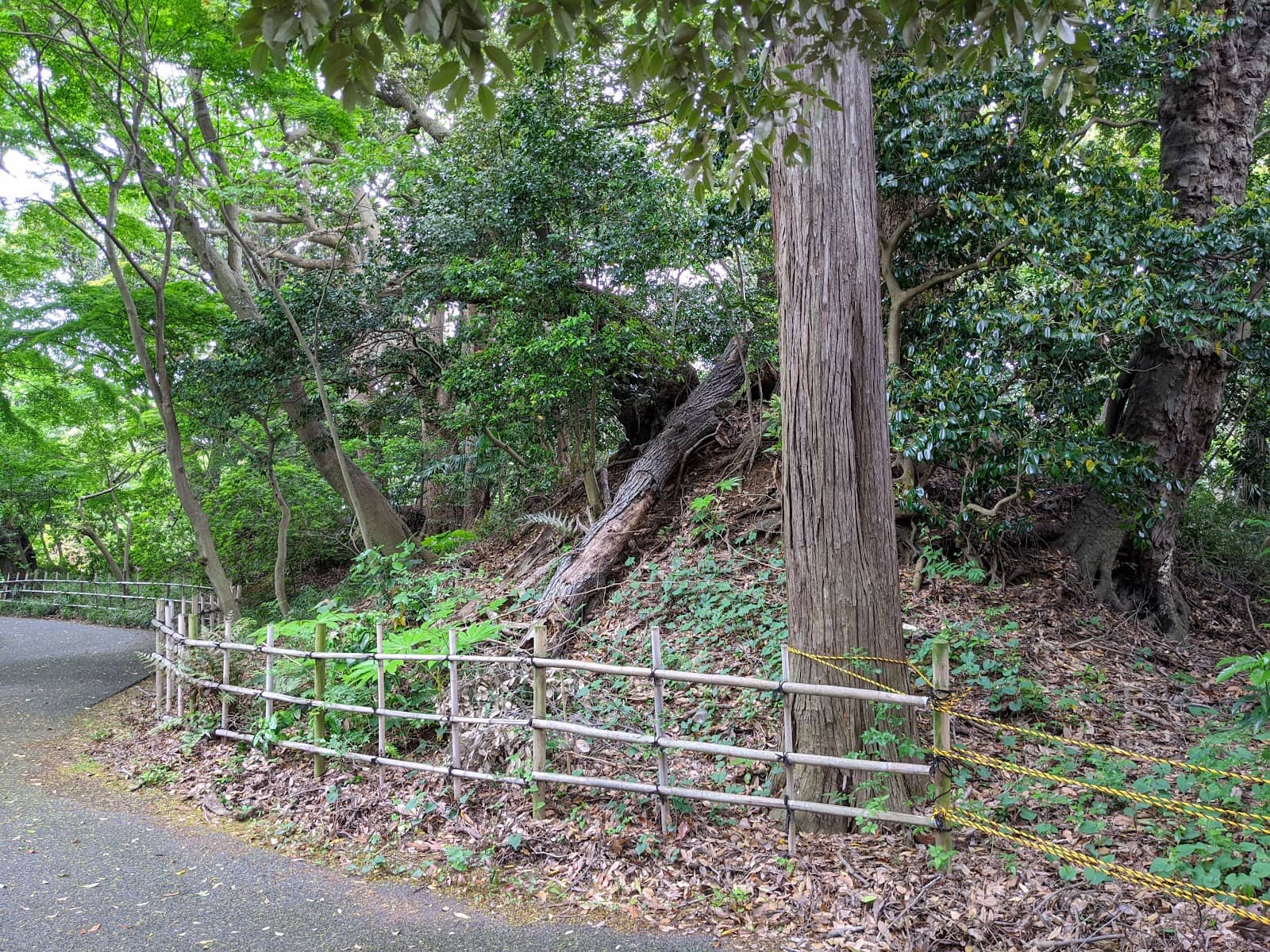 Konodai Tumulus Group