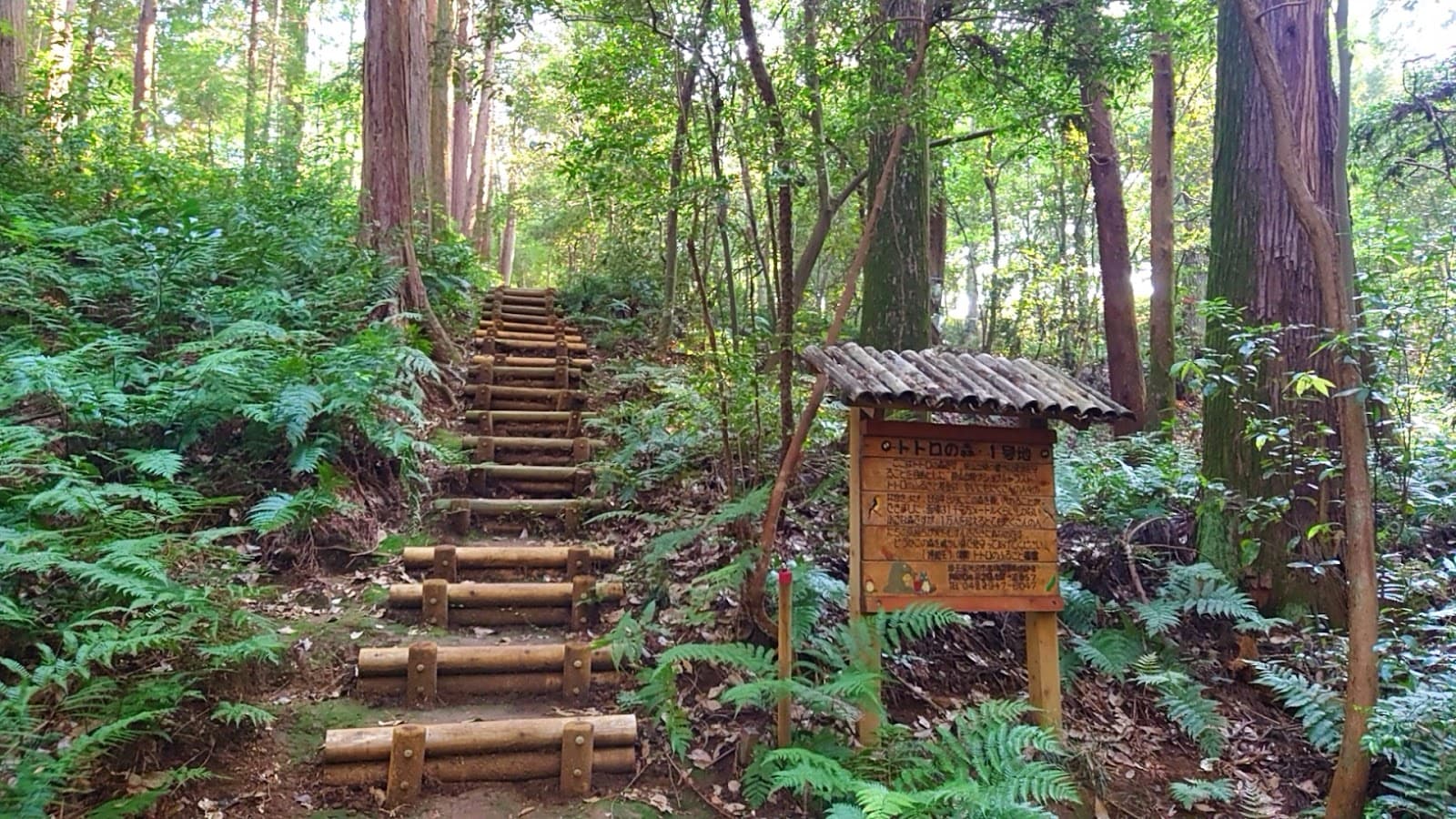 Totoro Forest Sayama Hills - Image 1