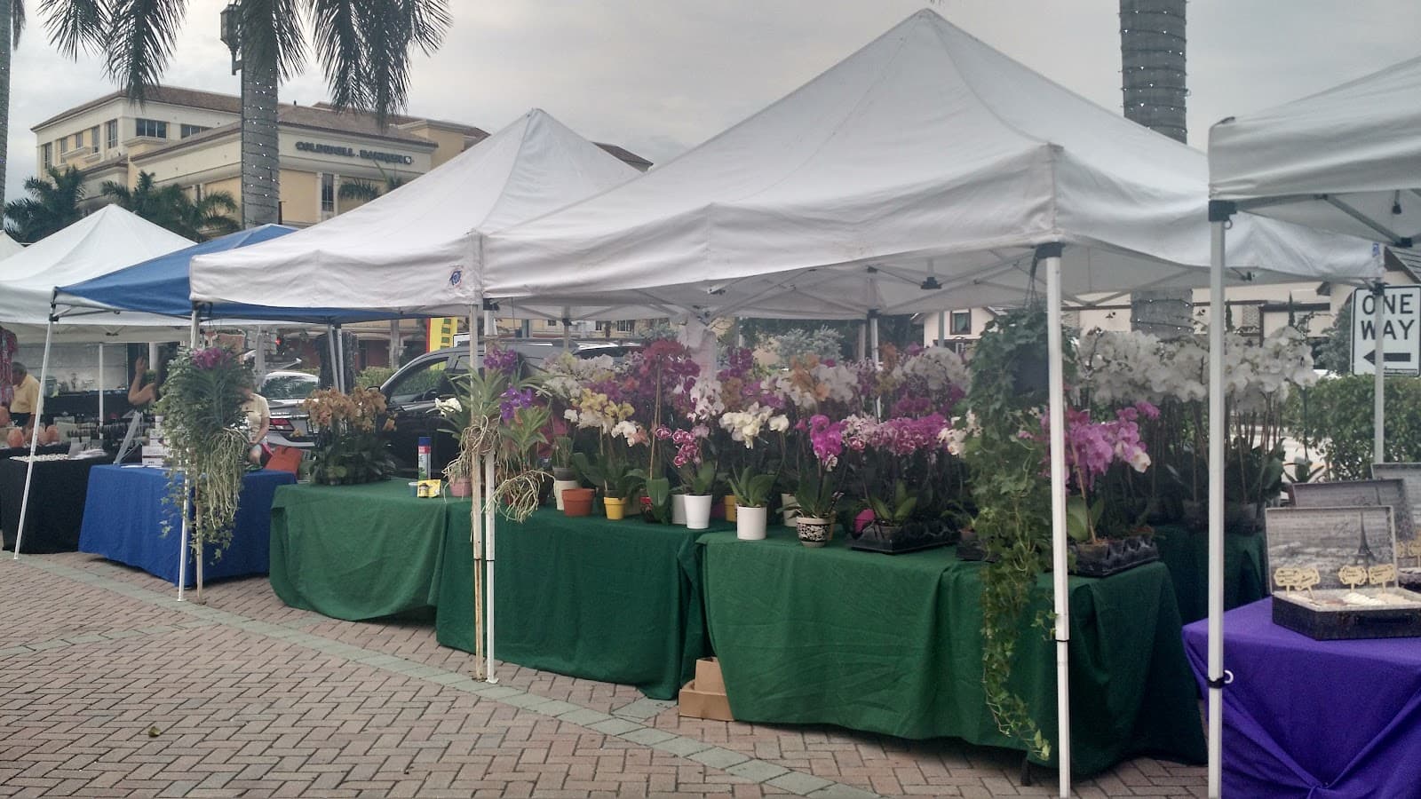 Boca Raton GreenMarket - Image 1