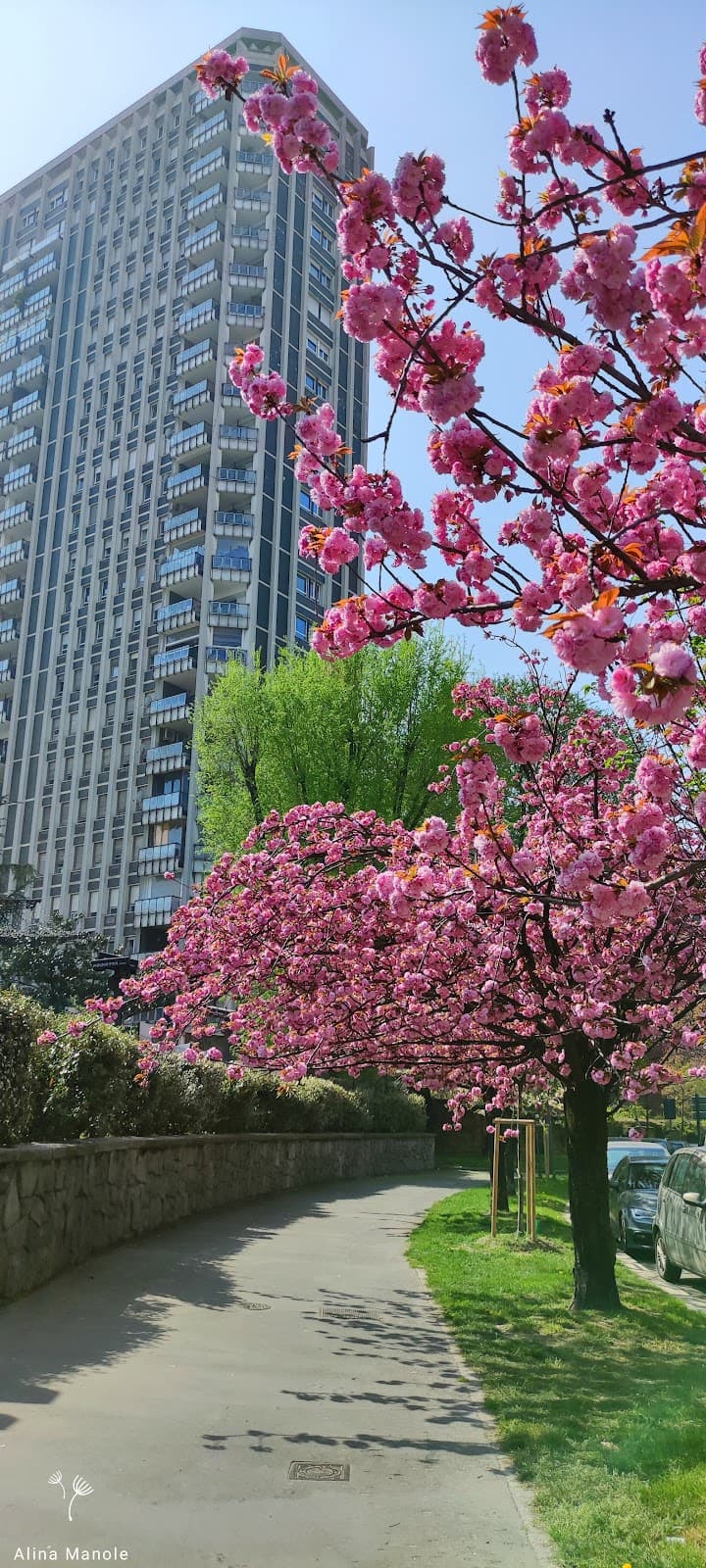 Porta Romana District Milan - Image 1