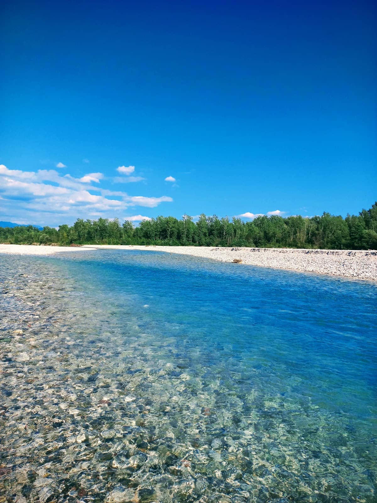 Diverse Ecosystem Exploration