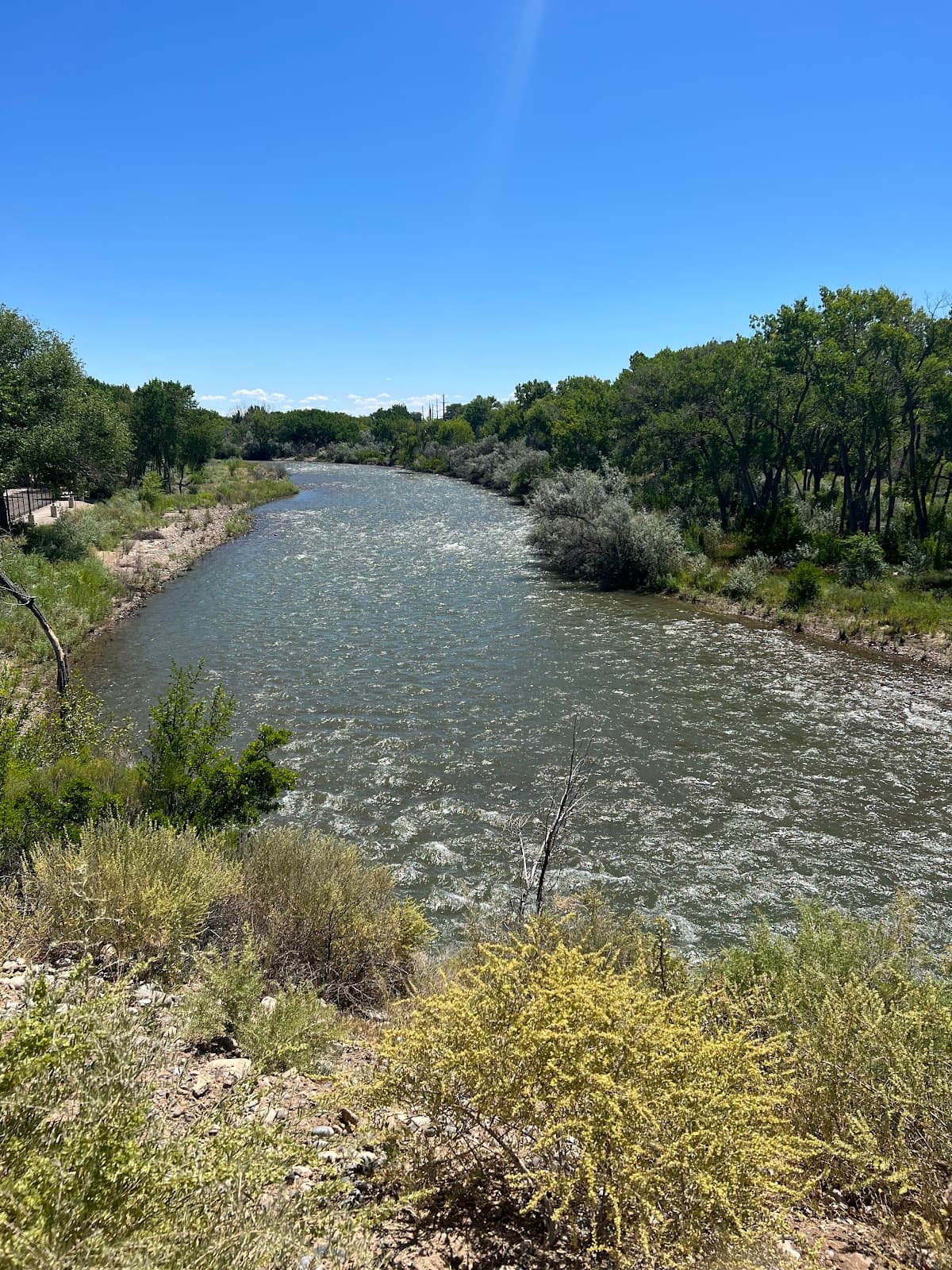 Animas River Trails - Image 1