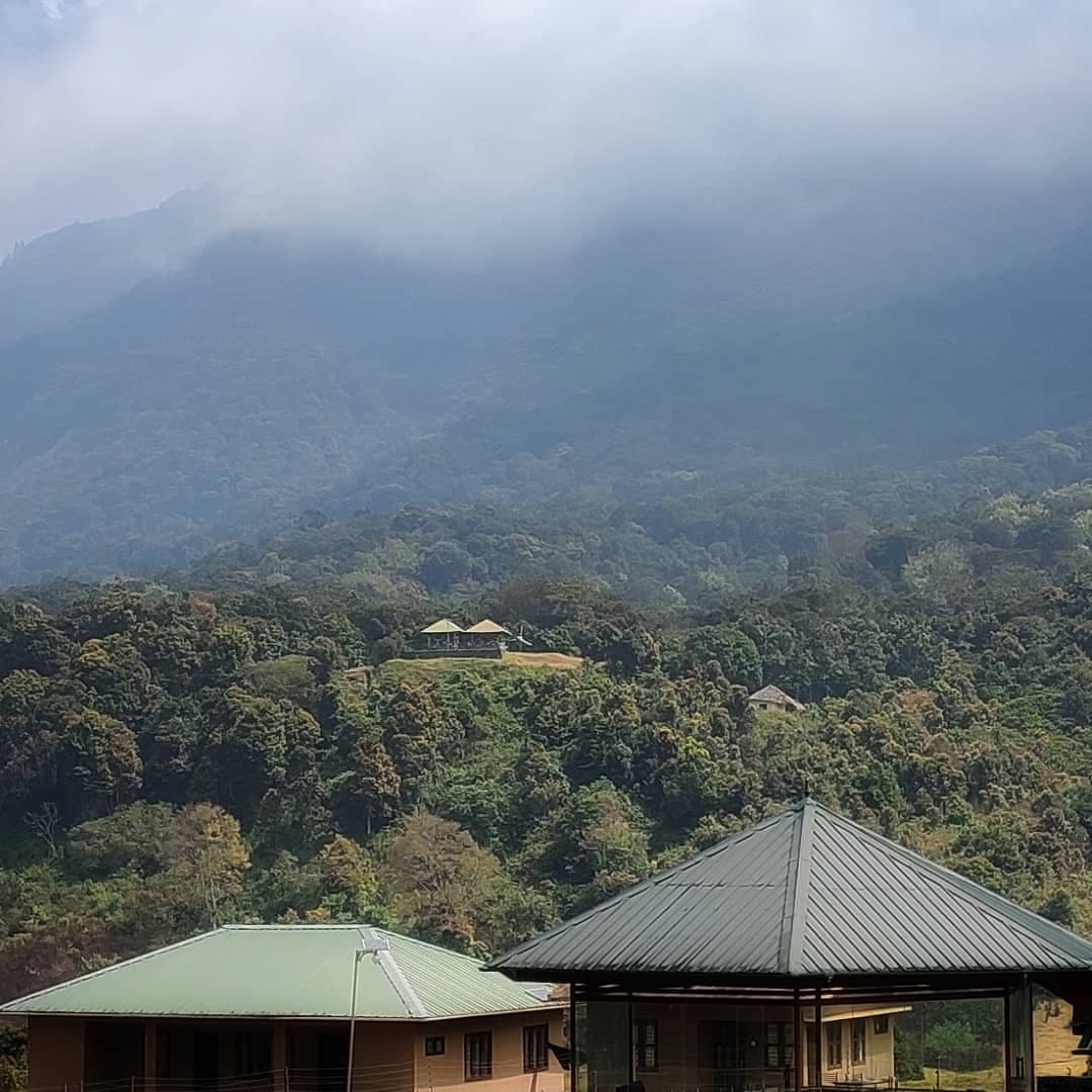 Pampadum Shola National Park - Image 1