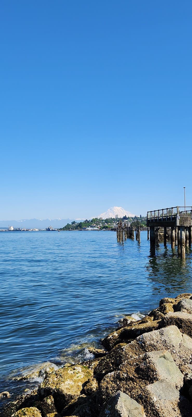 Marine Park Ruston Way - Image 1