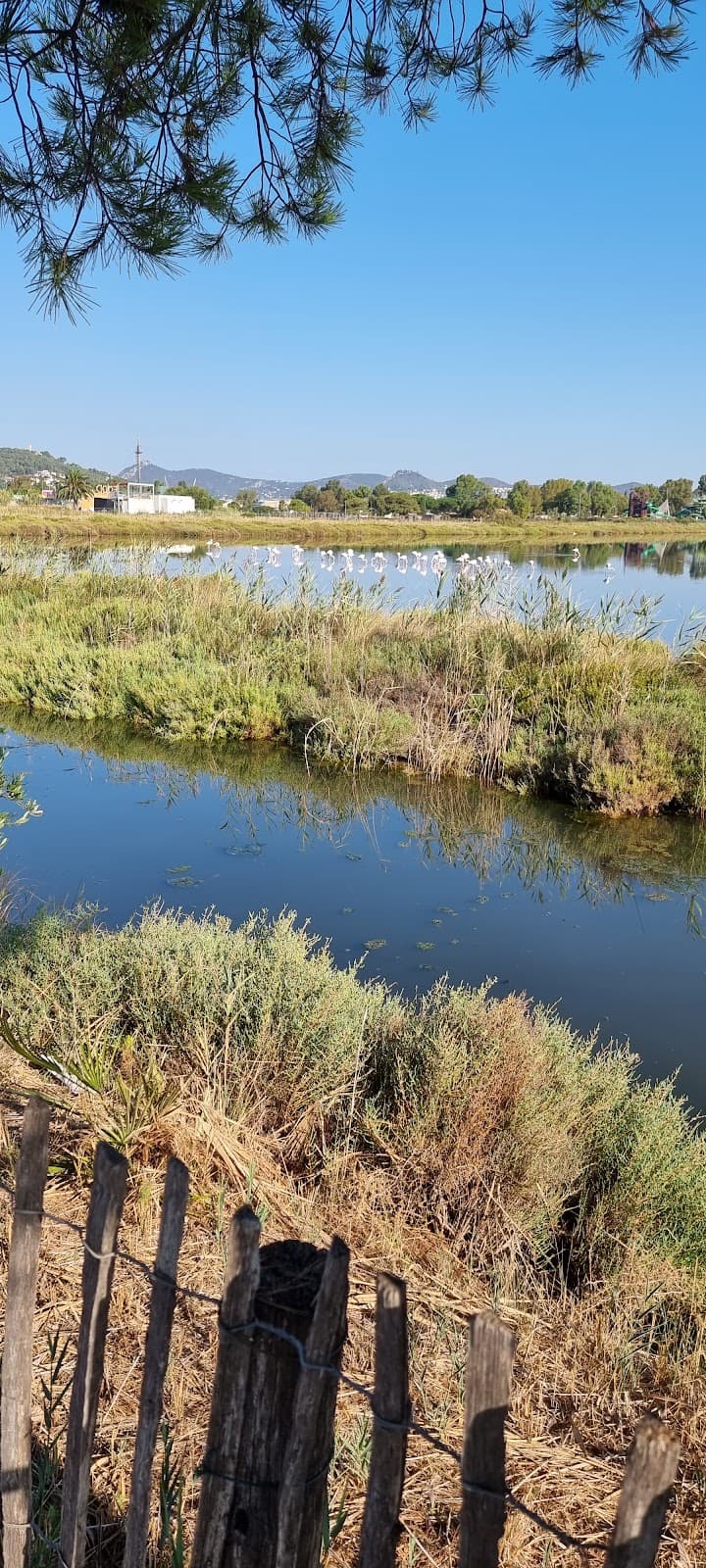 Les Salins - Image 1