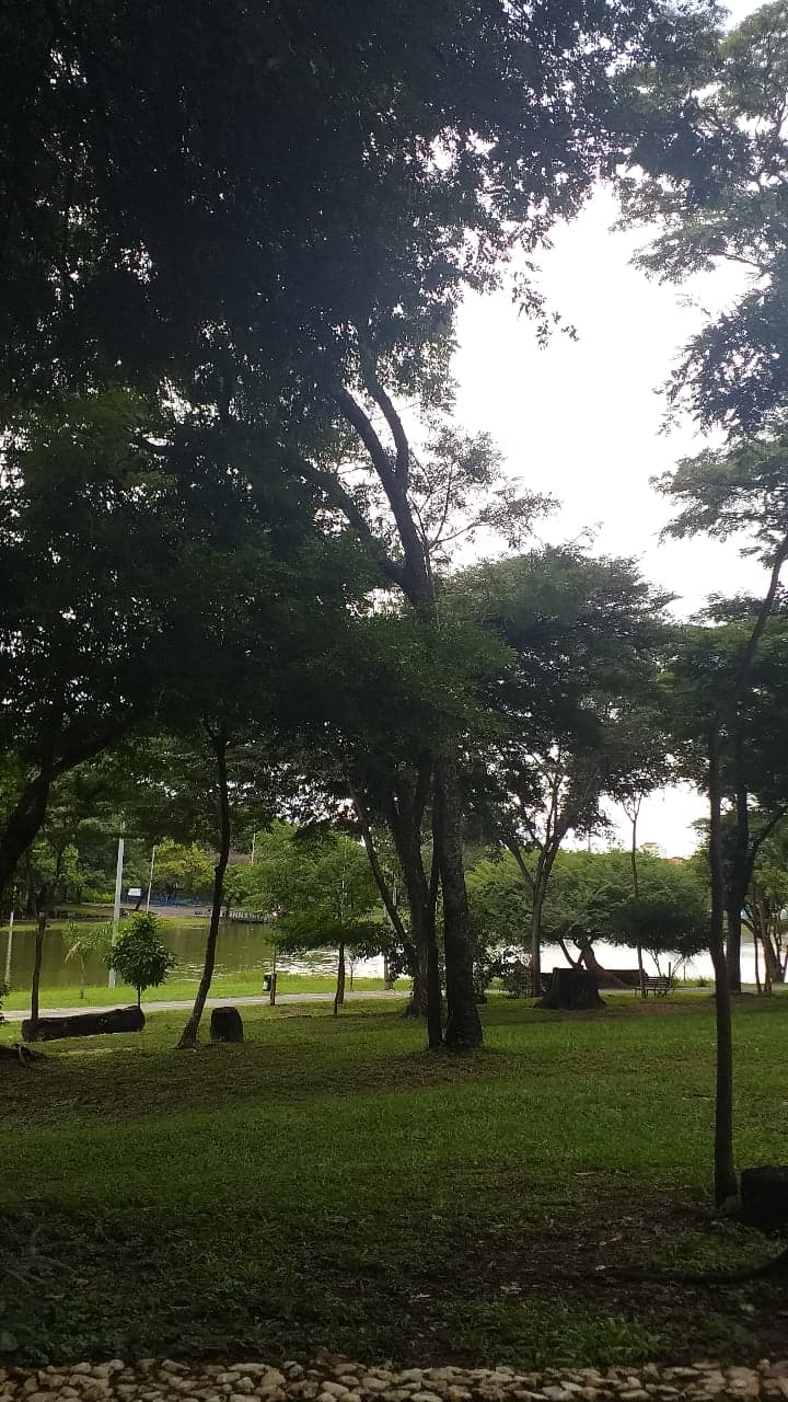 Parque Municipal Milton Prates - Image 1