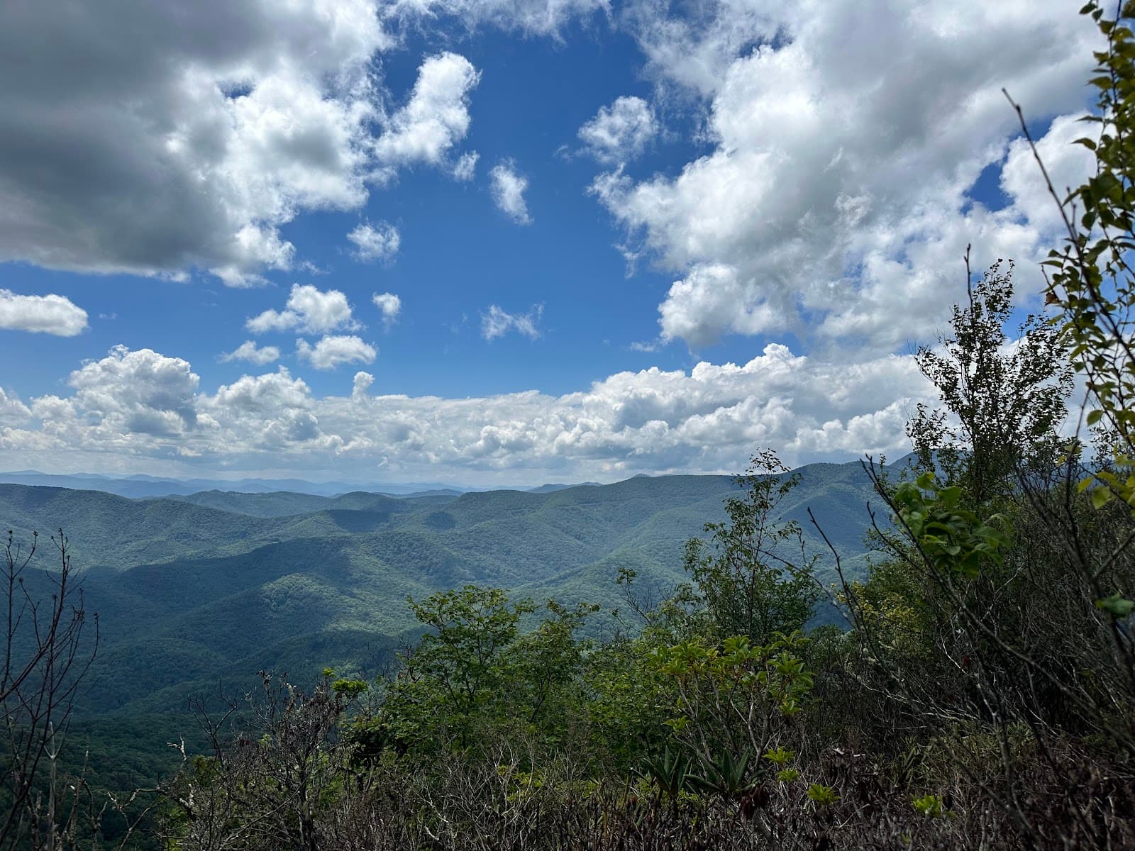 Art Loeb Trail - Image 1