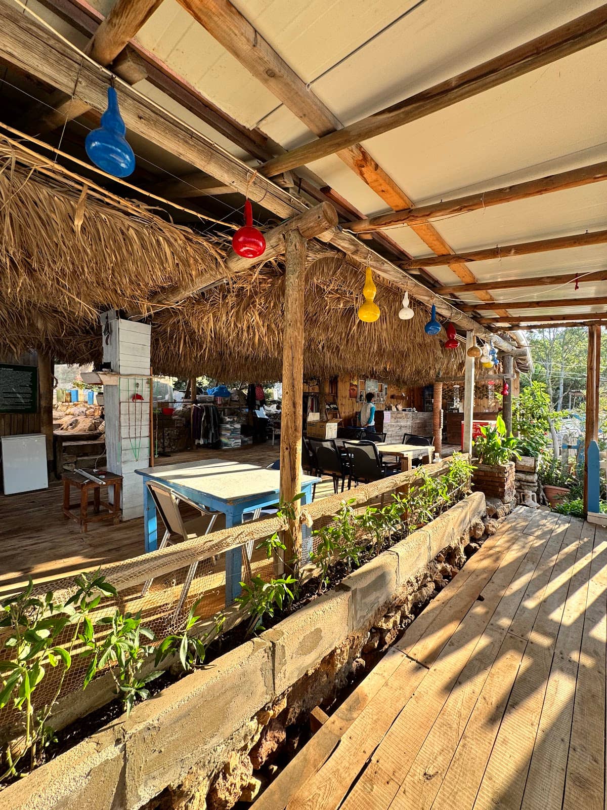 Sunset from the Citadel