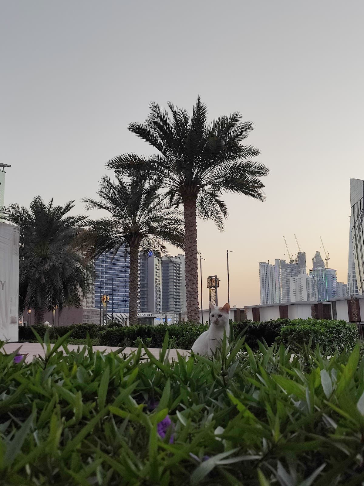 Business Bay Dubai - Image 1