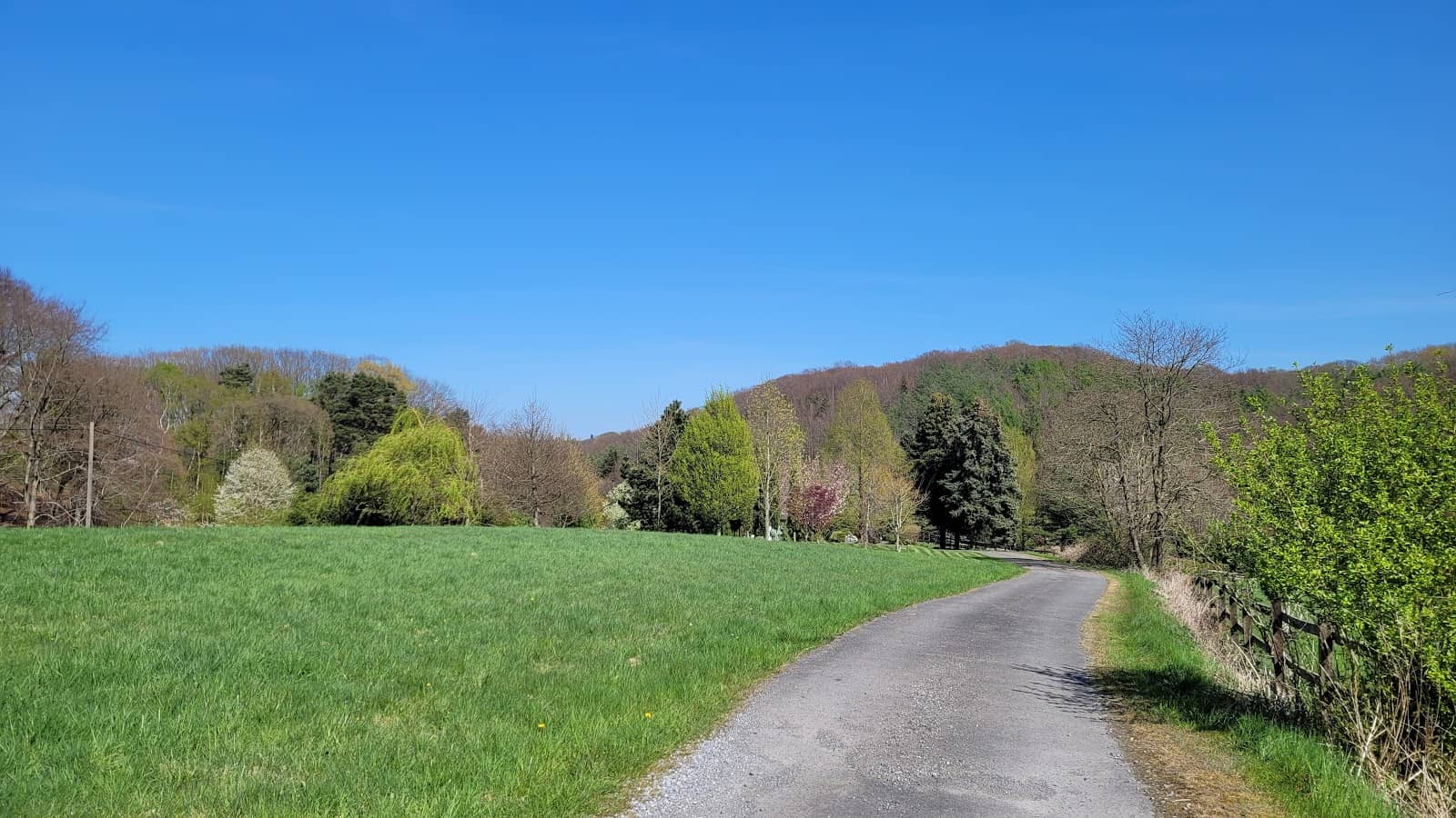 Metal Sculptures at Steinhausen