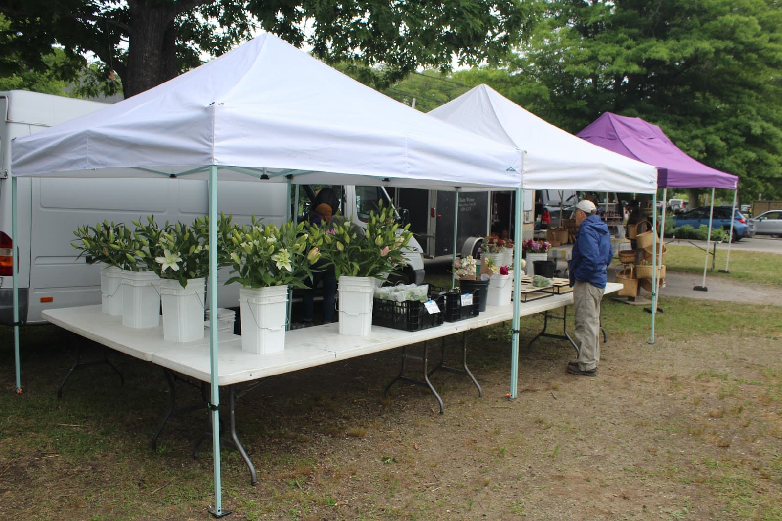 Camden Farmers Market - Image 1