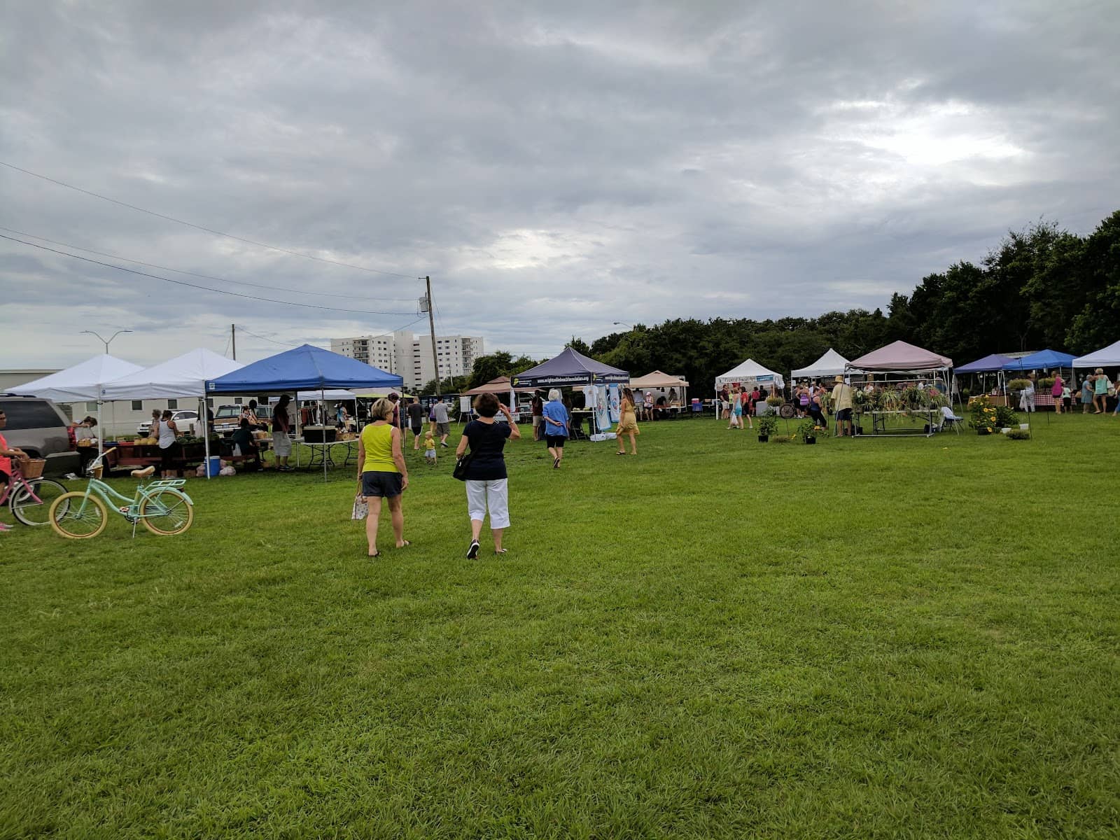 Creative Crafts & Art