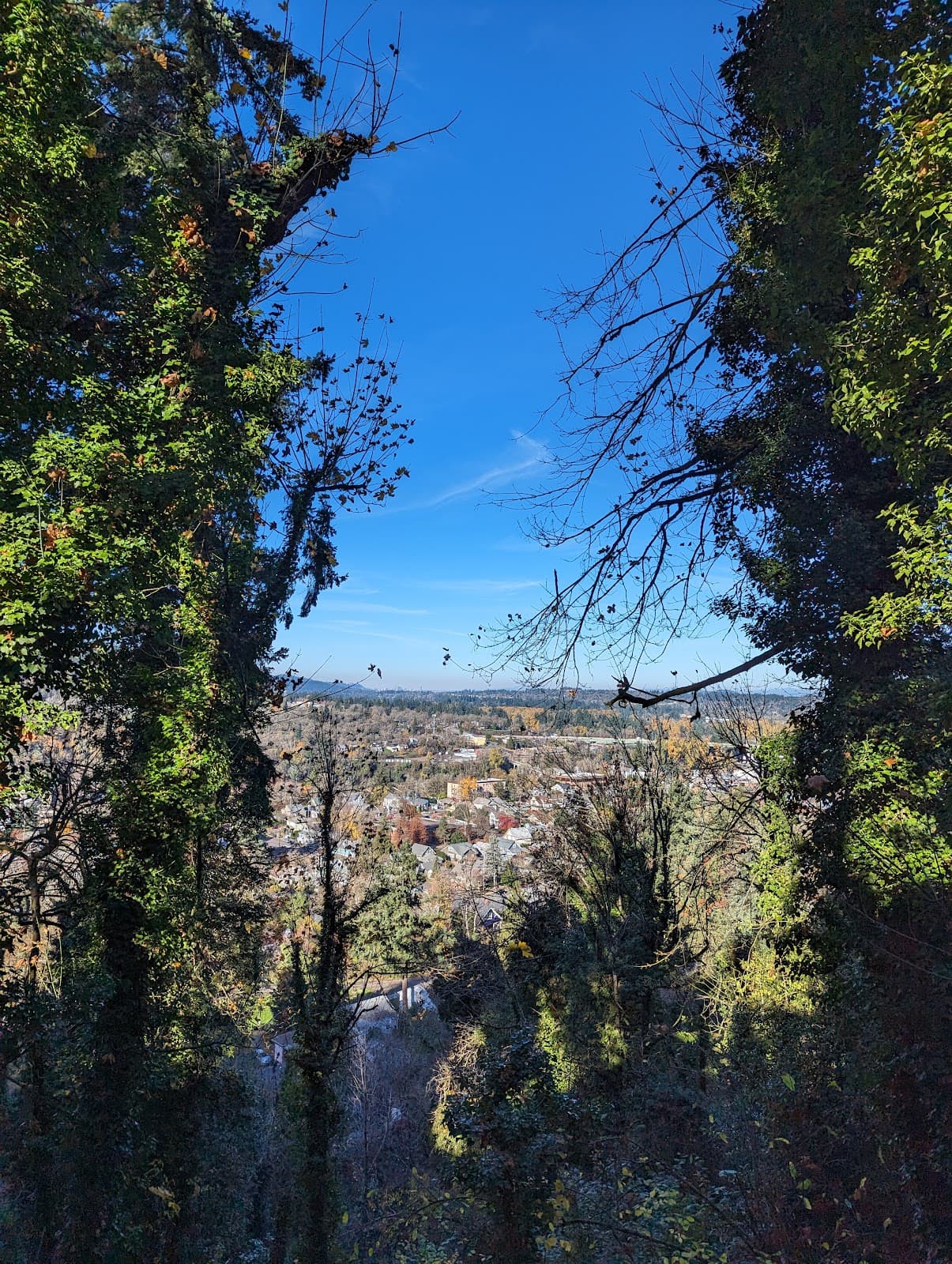 Waterboard Park - Image 1