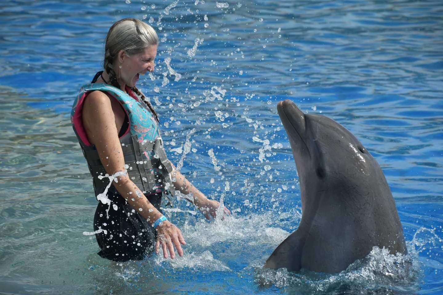 Marineland Dolphin Adventure - Image 1