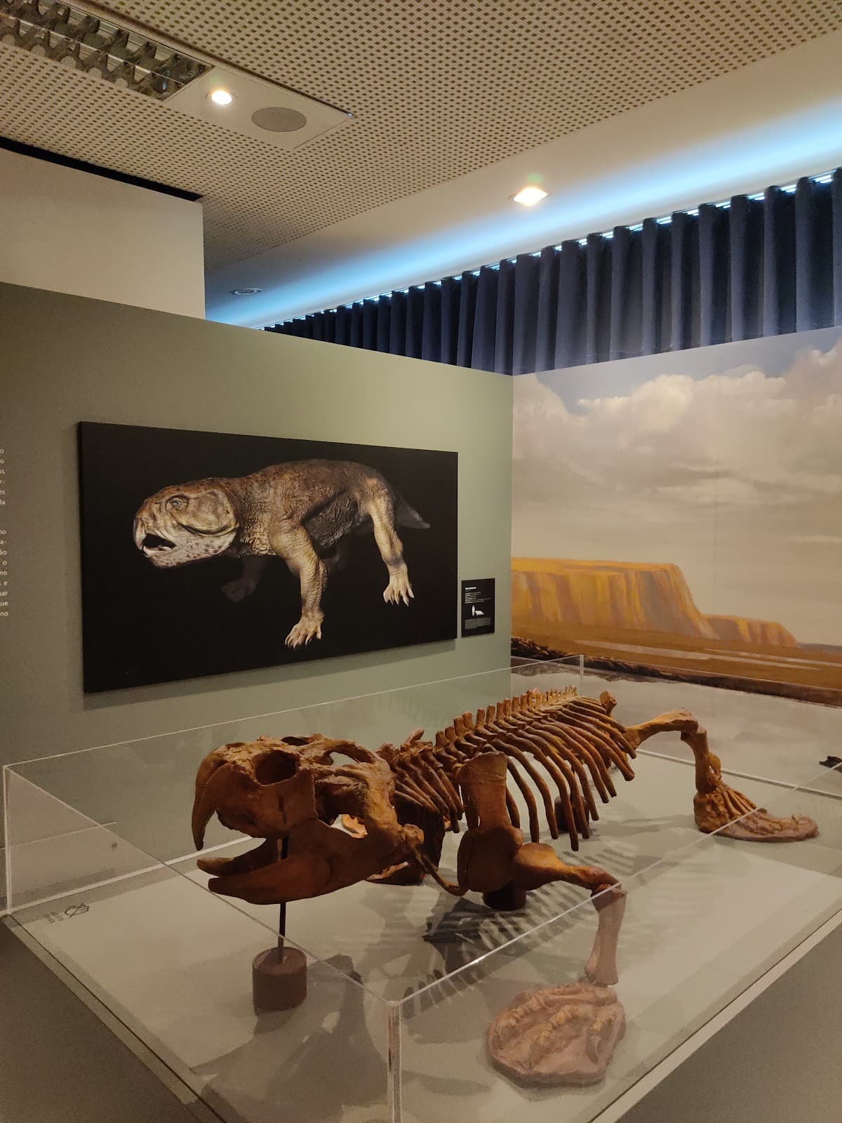 Espaço do Conhecimento UFMG - Image 1