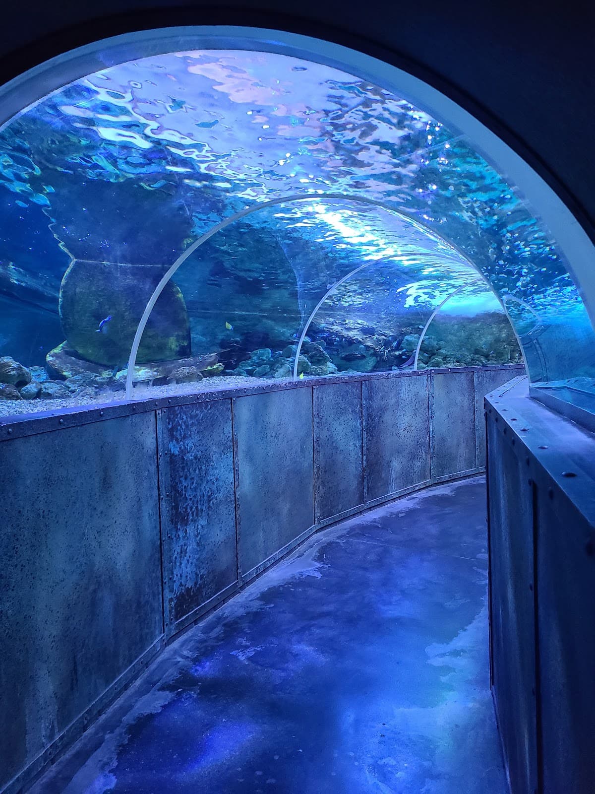 Grand Aquarium de Touraine - Image 1