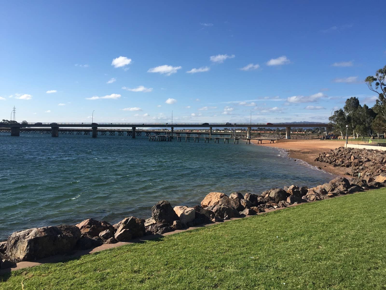 Live Music Performances