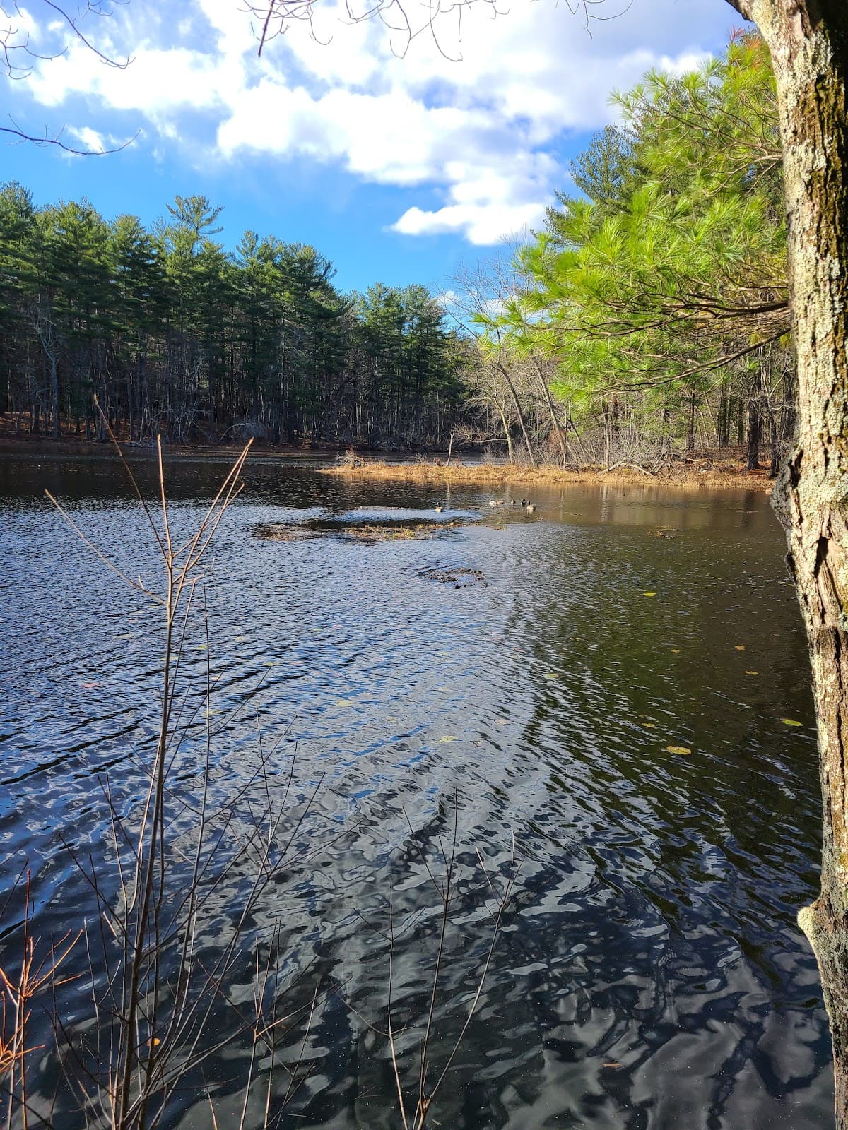 Punkatasset Conservation Area - Image 1