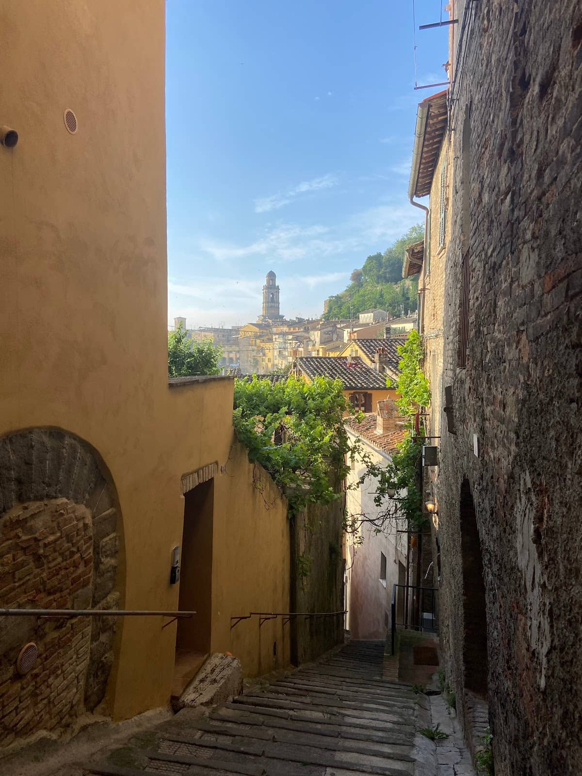 Panoramic Umbrian Views