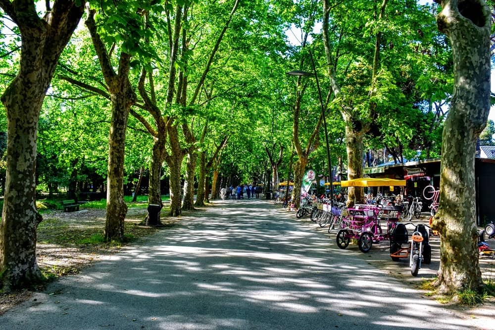 Bike and Rickshaw Rentals