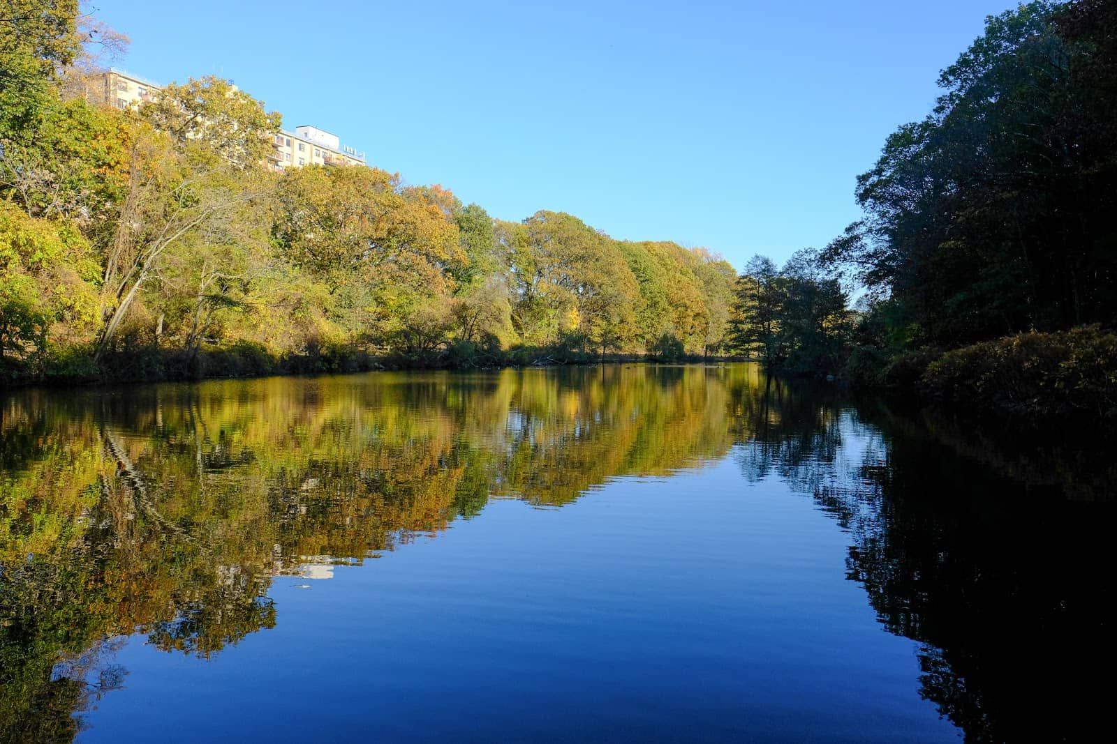 Lush Greenery and Trails