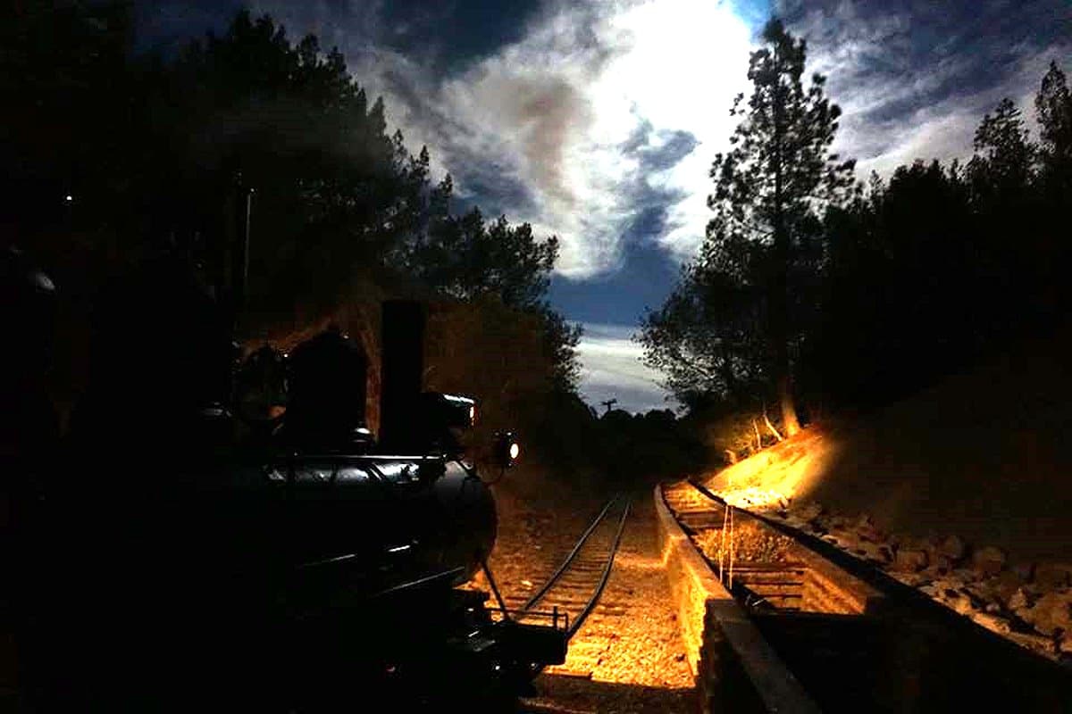 Redwood Valley Railway Tilden Steam Trains - Image 1