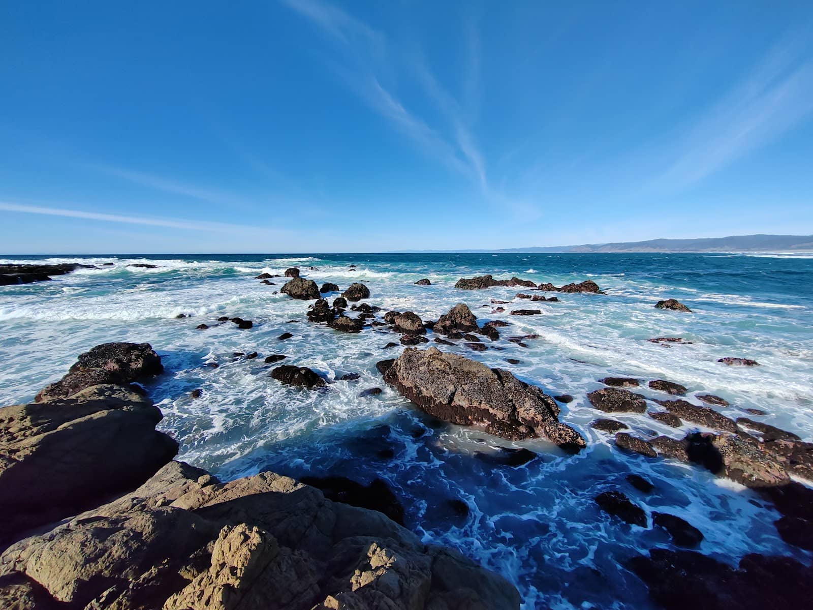 Tide Pool Exploration