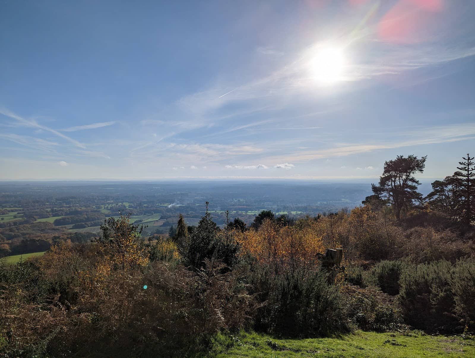 Panoramic Surrey Views