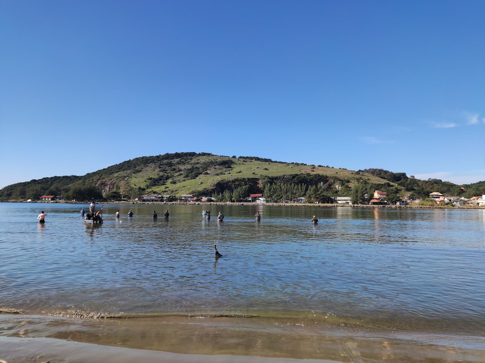 Dolphin Cooperative Fishing Canal da Barra - Image 1