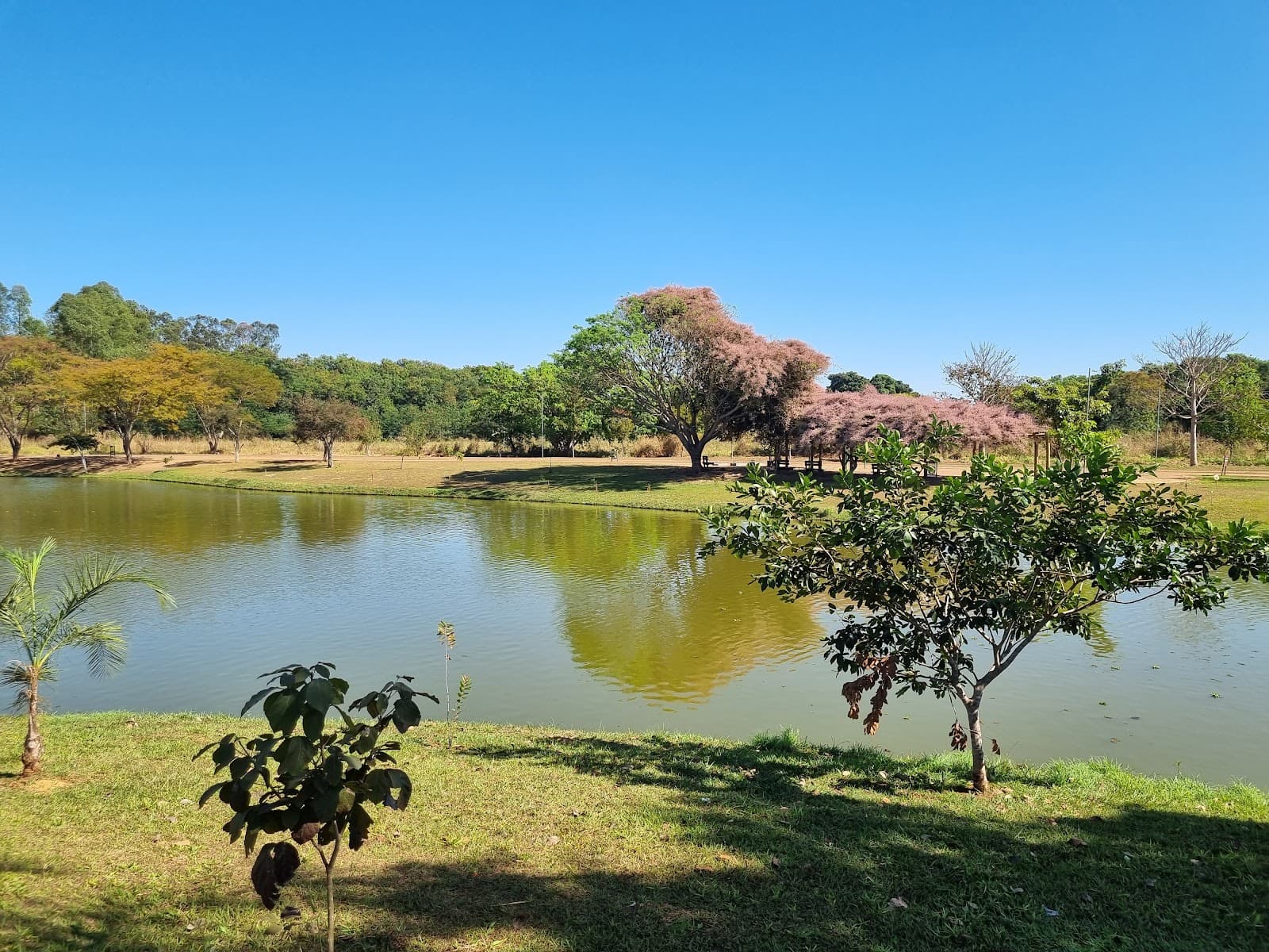 Parque Leolídio di Ramos Caiado Lagoa do Goiânia 2 - Image 1
