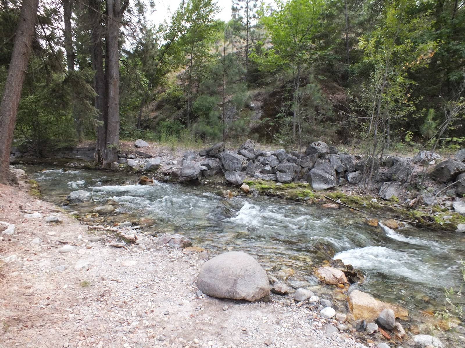 Creek-Side Serenity