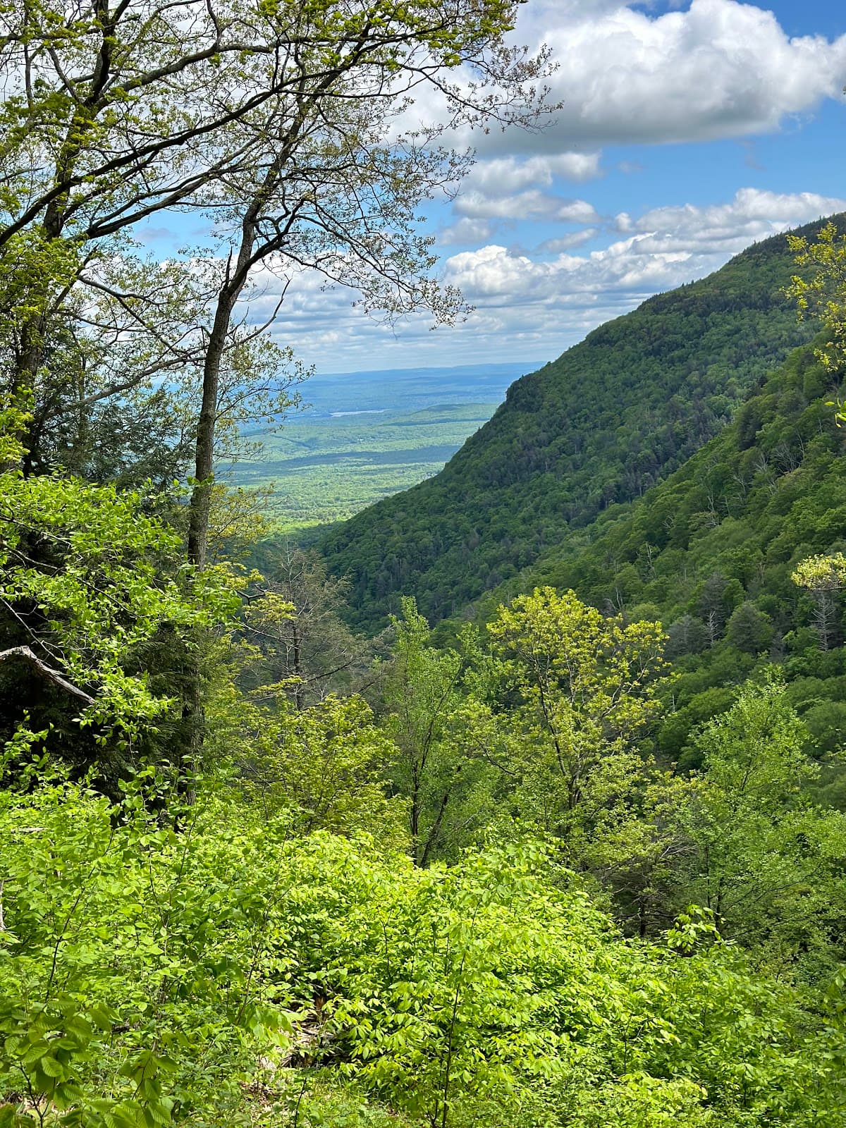Platte Clove Preserve - Image 1