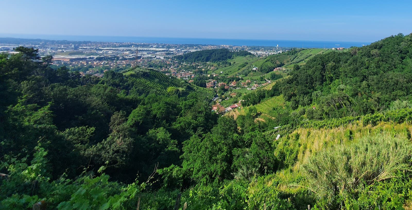 Candia Hills Wine Route - Image 1