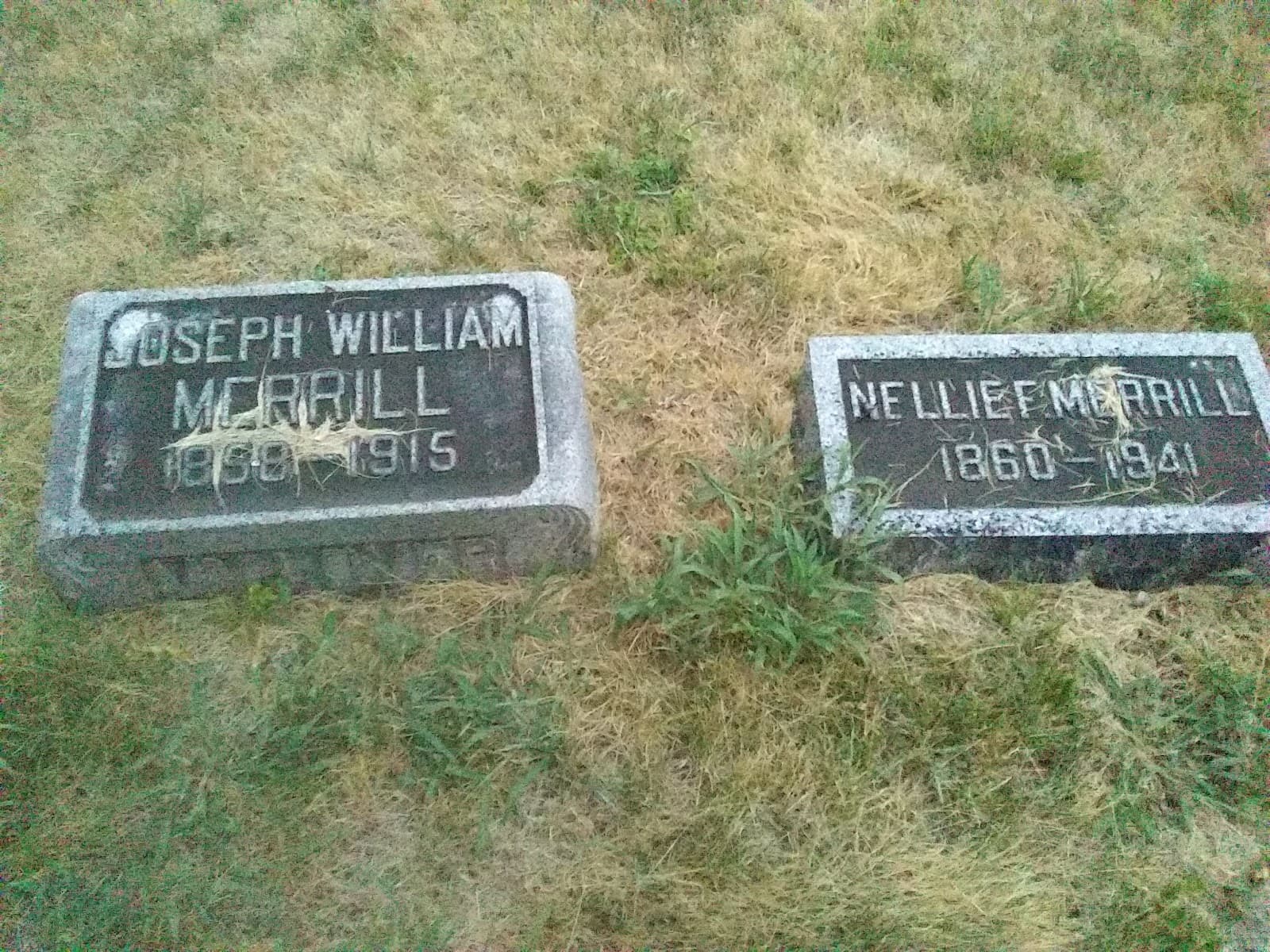 Elmwood Cemetery - Image 1