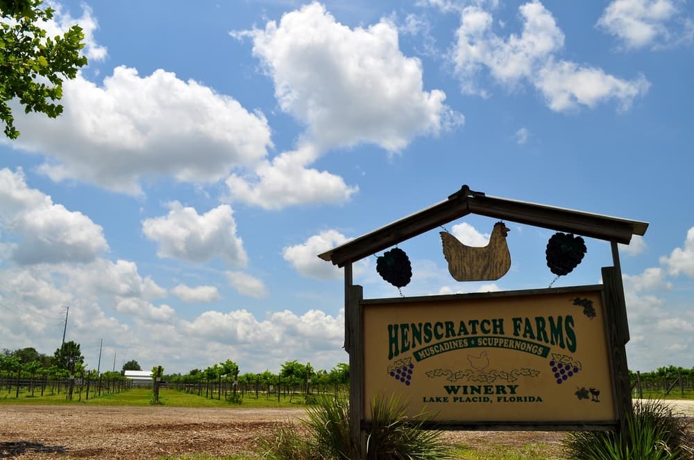 Henscratch Farms Vineyard & Winery - Image 1