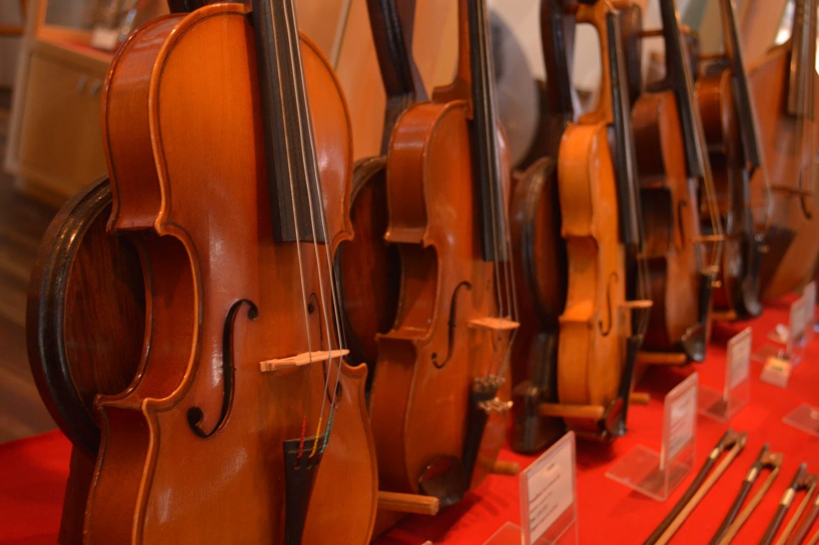 Timbó Music Museum - Image 1