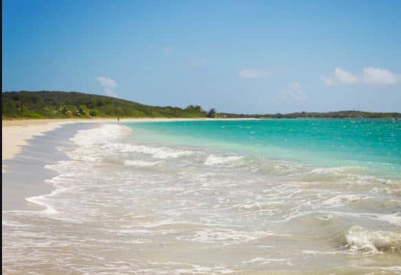 Abundant Marine Life