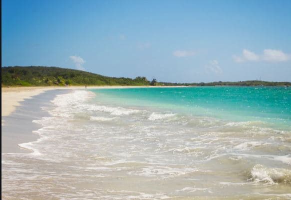 Blue Beach Vieques Puerto Rico - Image 1